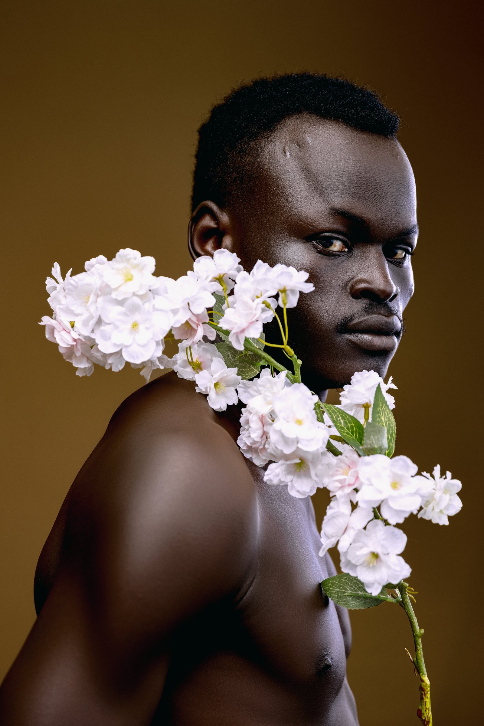 Editorial